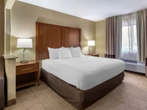 컴포트 인 멀린 - 쿼드 시티즈