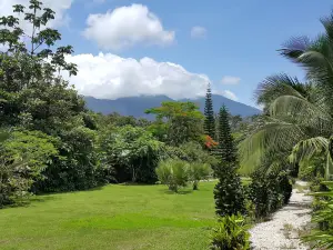 Cataratas Bijagua Lodge, Incluye Tour Autoguiado Bijagua Waterfalls Hike