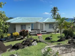 Tradewinds- quiet home overlooking the ocean