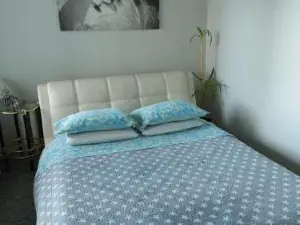 Puikus Apartamentai