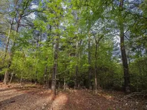 Stone Mountain Lodge 5000Sqft 6 Bed Game Room Pool Table Hot Tub