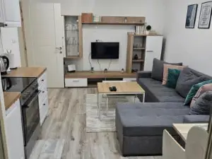 Apartment Mini