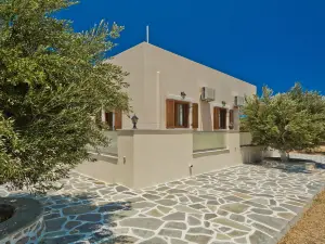 올리브 스튜디오