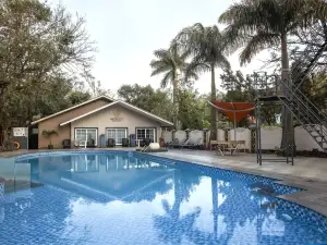 Basilica Resort - Where Luxury Redefines