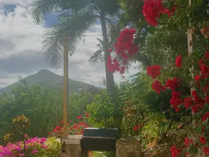 Princess Heights Luxury Condo Hotel