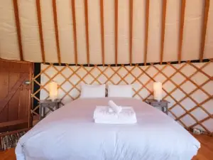 Awaawa Yurts - Tāne
