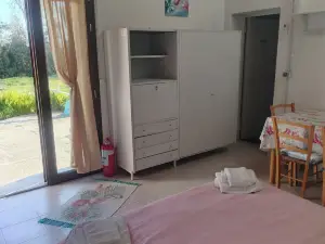 카메라 세라오나