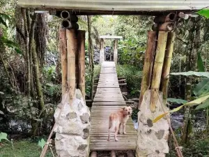 Cucú Ardilla Vivienda Campestre en Pance