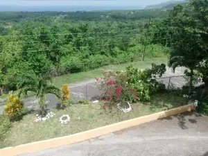 Royal Villa 360