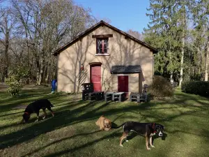 La Faisanderie