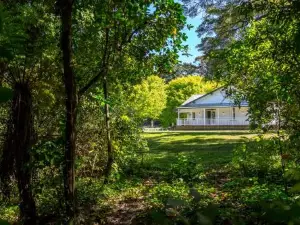The Forest House