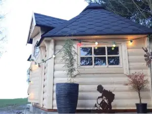 Cabane Dans un Jardin arboré