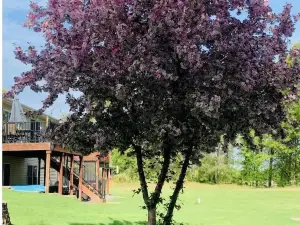 City country, small Lake view, hot tub, game room fire place & lots of extras!