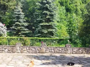 Pensiunea Casa Domniței Sucevița