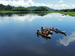 Gibbon Singing Home Stay