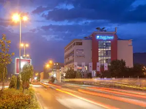 Hotel Aurel