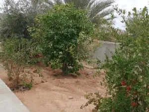 Dar Ettawfik with Parking Inside