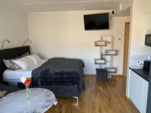 Oja 118 Apartment