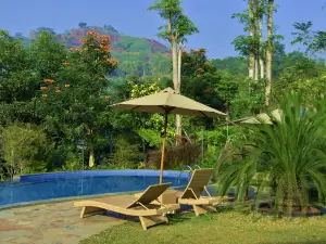 Sarga Earthing Resort