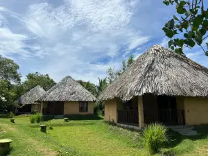 Saffron Lake Yala