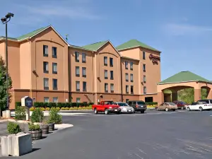 Hampton Inn Ft. Chiswell-Max Meadows