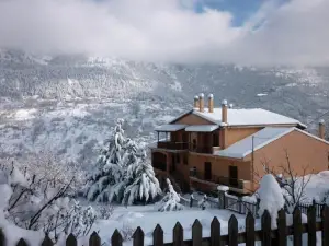 Arhontiko Christodoulou