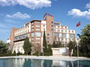 阿奈蒙馬尼薩飯店