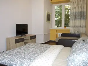 Luxkv Apartment on 1st Basmanniy