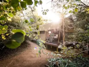 Umkumbe Bush Lodge - Luxury Tented Camp