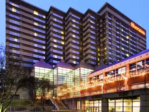 Downright Austin, A Renaissance Hotel