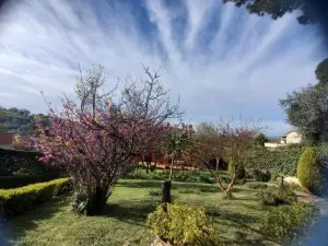 Il Parco Holiday - Locazione Turistica