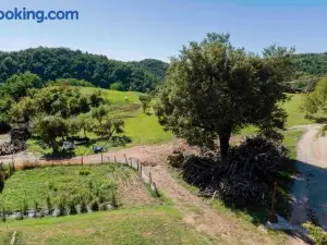 PODERE P RATIZZOLI II Piano