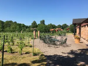 Åmund Vin & Fruktgård