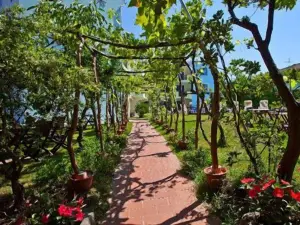 Hotel Ariadimari