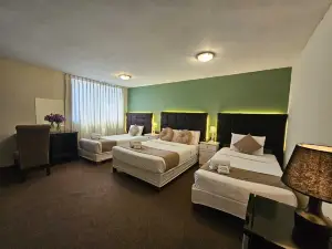 Hotels Collect A. Monet