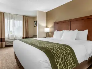 Comfort Inn & Suites Dimondale - Lansing