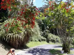 Swim & Paint Art Retreat