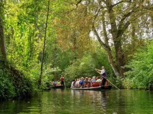 *Premium-Apartment im Spreewald*