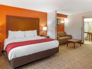 Comfort Inn Greensboro - Kernersville