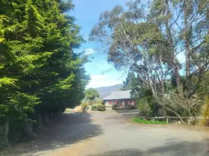 Mt Elephant Forrest Cabin