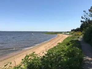 Sommerhus Ved Vesterhavet