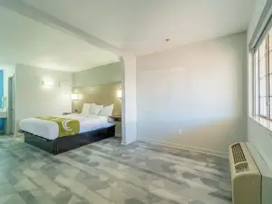 OYO普萊森頓行政旅館