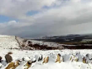 Burren Bushcraft - Camping & Adventures
