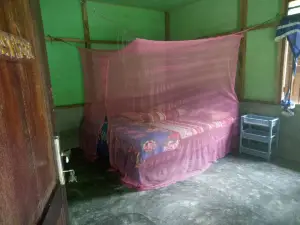 唐卡漢綠色小屋