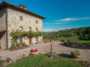 Fattoria Ca' di Fatino