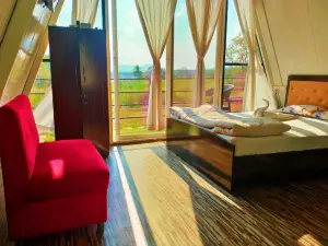 Sizzle Bay Resort