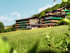 Natura Hotel Bodenmais - Inkl Soft- Und Heißgetränkeflat