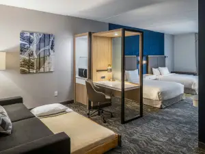 SpringHill Suites Canfield
