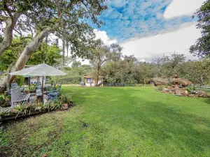 Ayenda Llanogrande Inn