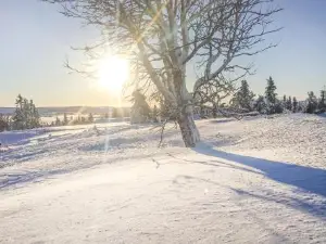 Beautiful Home in Sjusjoen